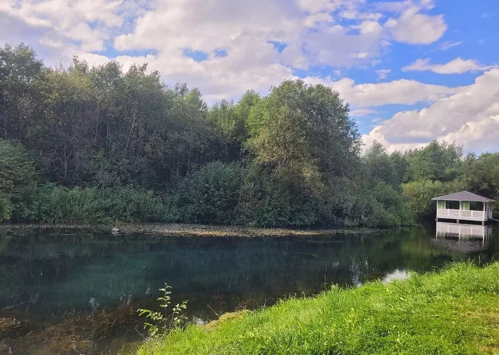 Участок в Ленинградская область, Ломоносовский район, Ропшинское ... - Фото 2