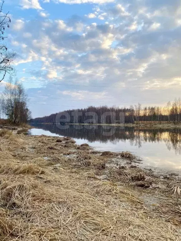 Участок в Костромская область, Красносельский район, Сидоровское с/пос ... - Фото 1