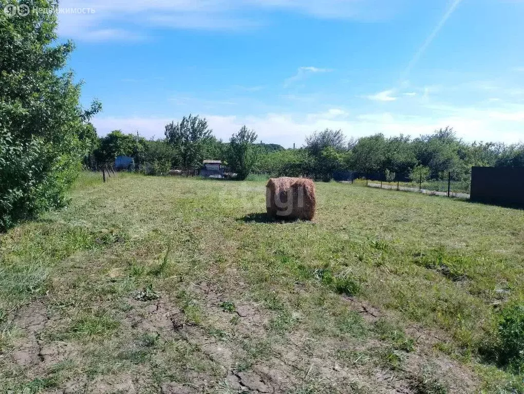 Участок в село Никольское, СТ Калина (8 м) - Фото 2