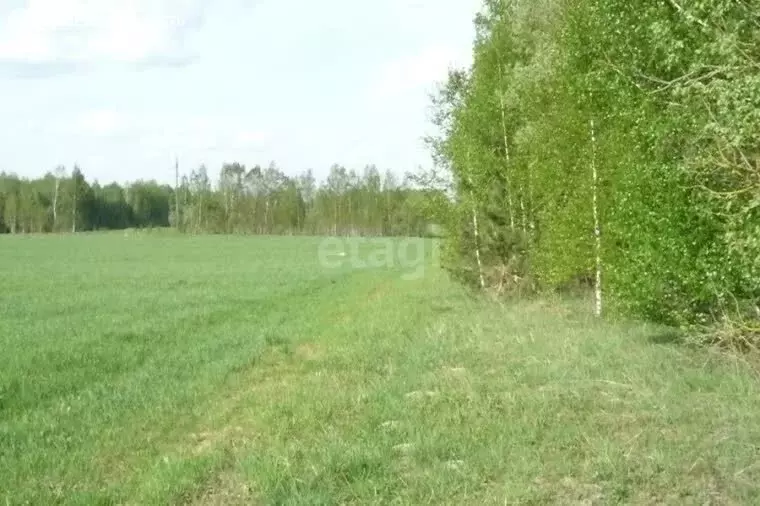 Участок в Тверская область, Калининский муниципальный округ, село ... - Фото 0