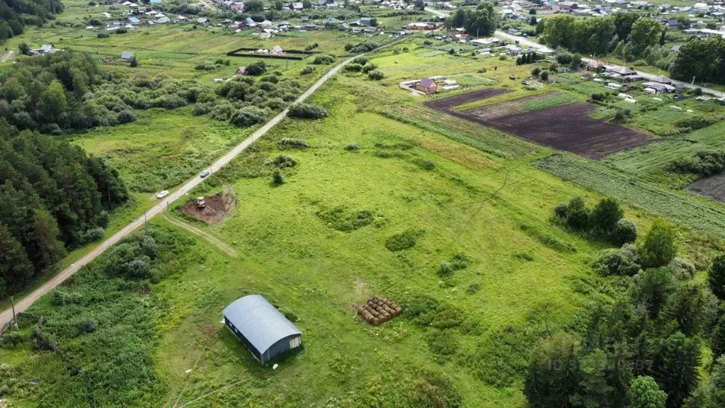 Участок в Томская область, Томский район, с. Батурино пер. Таежный ... - Фото 2