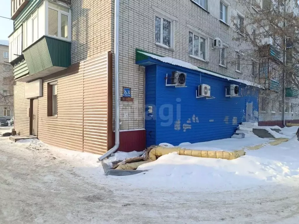 Торговая площадь в Курганская область, Курган ул. Орлова, 83 (119 м) - Фото 1