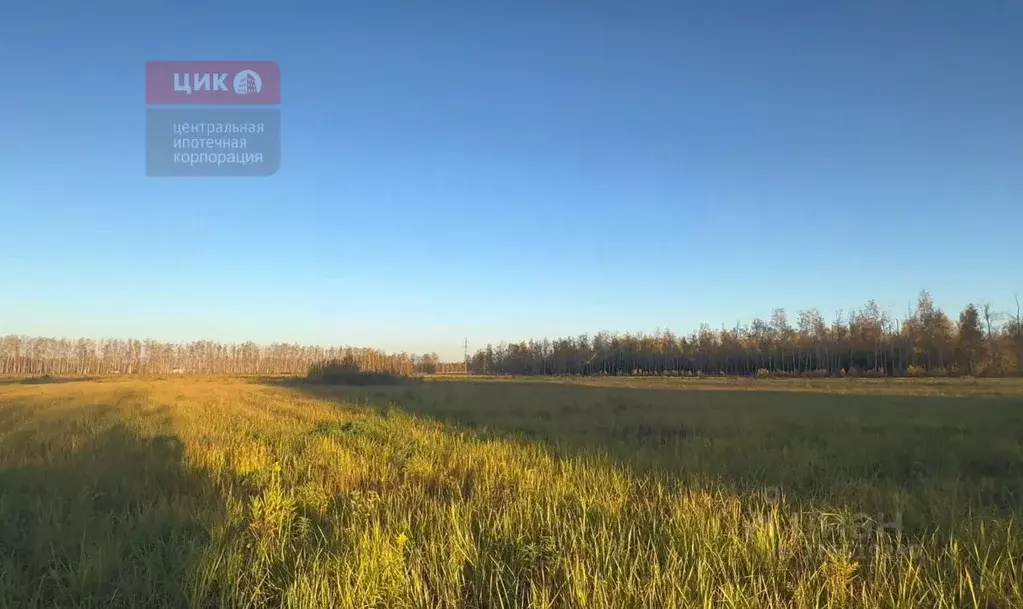 Участок в Рязанская область, Рязанский район, Дядьковское с/пос, д. ... - Фото 1