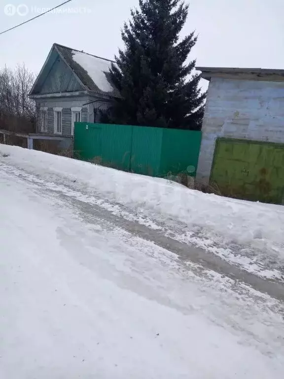 Дом в село Большая Речка, улица Вагжанова (47.4 м) - Фото 1