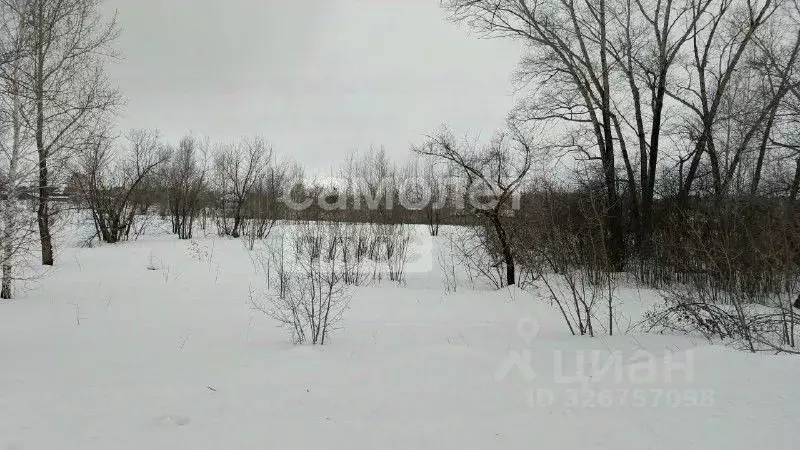 Участок в Алтайский край, Бийский район, с. Верх-Катунское тракт ... - Фото 2