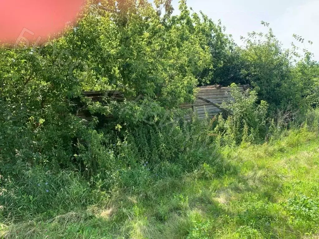Дом в Саратовская область, Балашовский район, с. Терновка ул. Малая ... - Фото 1