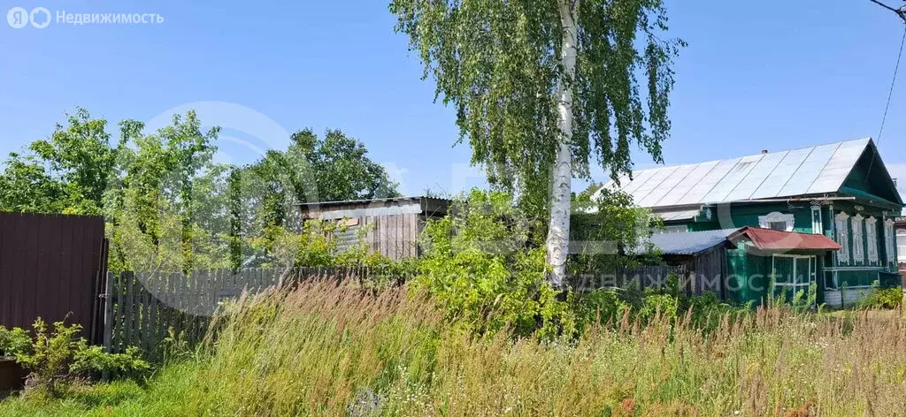 Участок в Владимирская область, Меленковский муниципальный округ, село ... - Фото 0