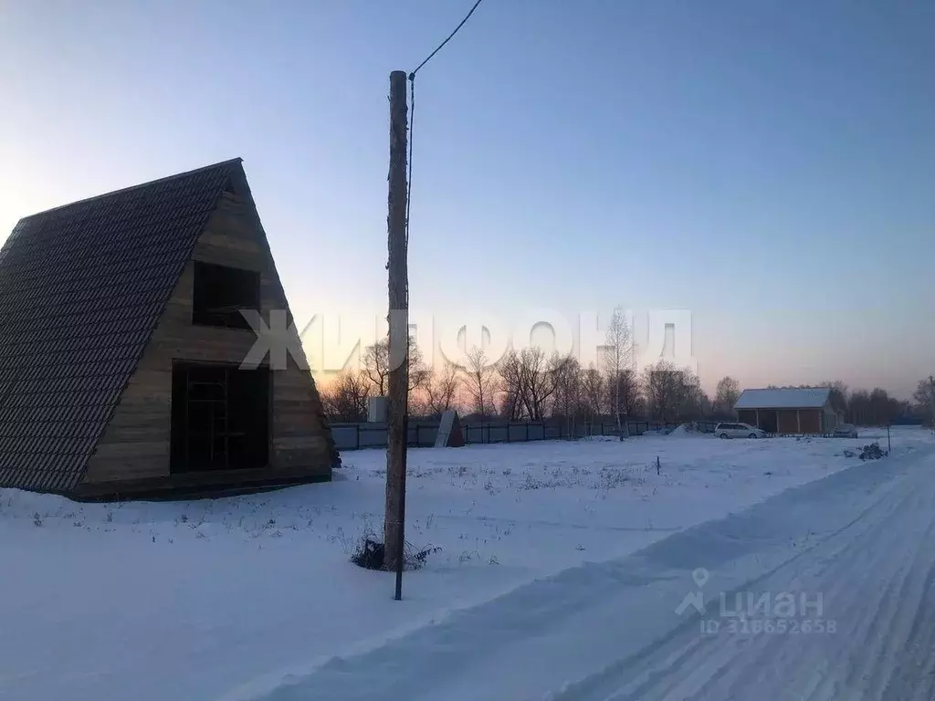 Участок в Новосибирская область, Новосибирский район, Криводановский ... - Фото 1