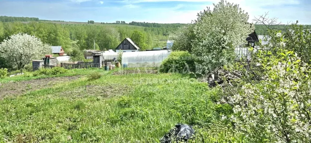 Участок в Кемеровская область, Кемеровский муниципальный округ, ... - Фото 0