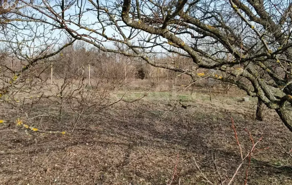 Участок в Трудовское сельское поселение, СПК Пневматика-2 (6 м) - Фото 0