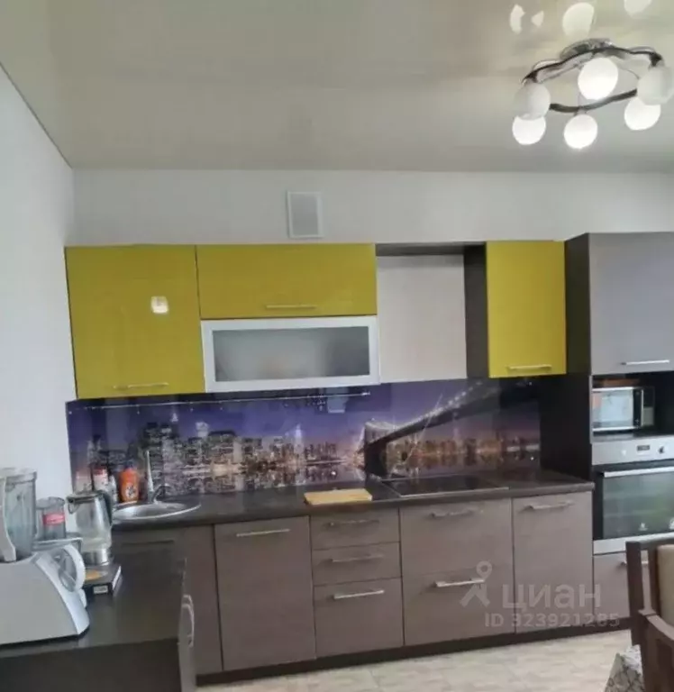 2-к кв. Забайкальский край, Чита ул. Курнатовского, 71к1 (64.0 м) - Фото 1