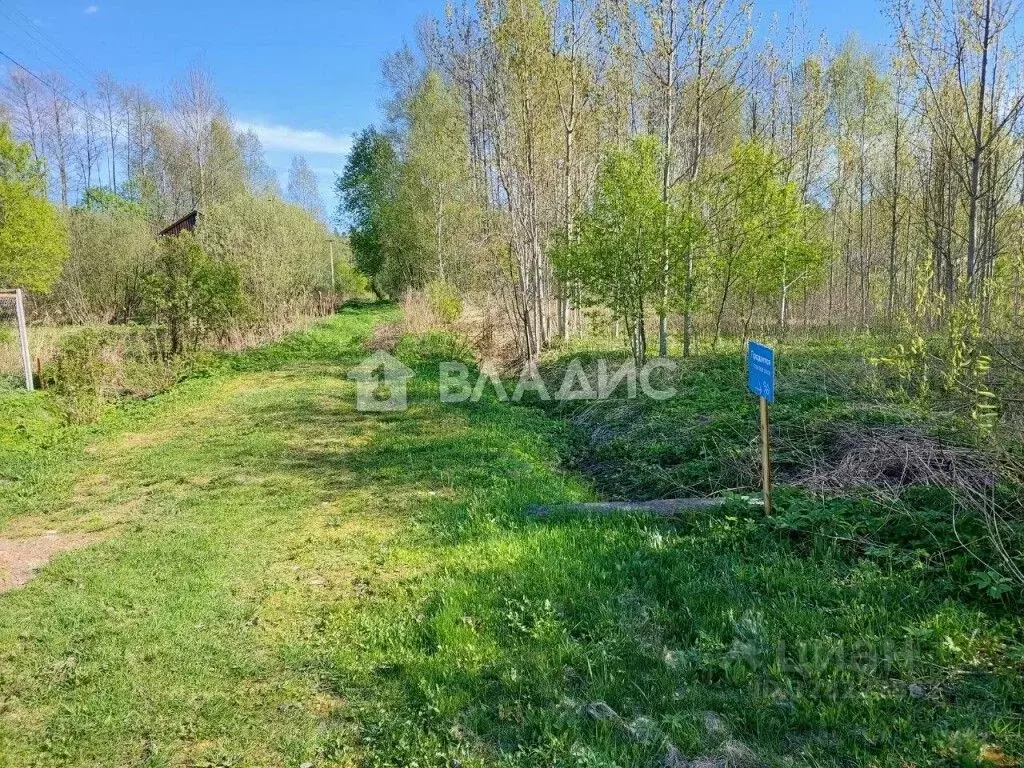 Участок в Московская область, Дмитровский муниципальный округ, ... - Фото 2