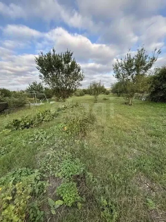 Дом в Белгородская область, Корочанский район, Бехтеевское с/пос, с. ... - Фото 2