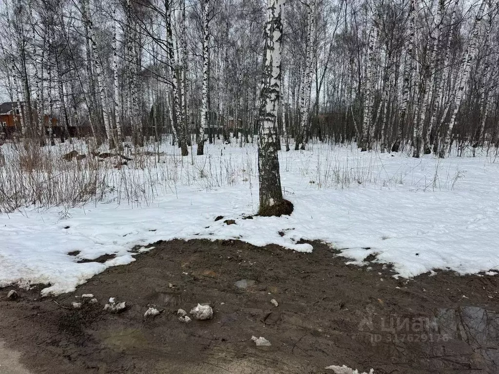 Участок в Московская область, Богородский городской округ, имени ... - Фото 1