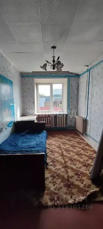 3-к кв. Новосибирская область, Маслянино рп ул. Новая, 8 (67.6 м) - Фото 1