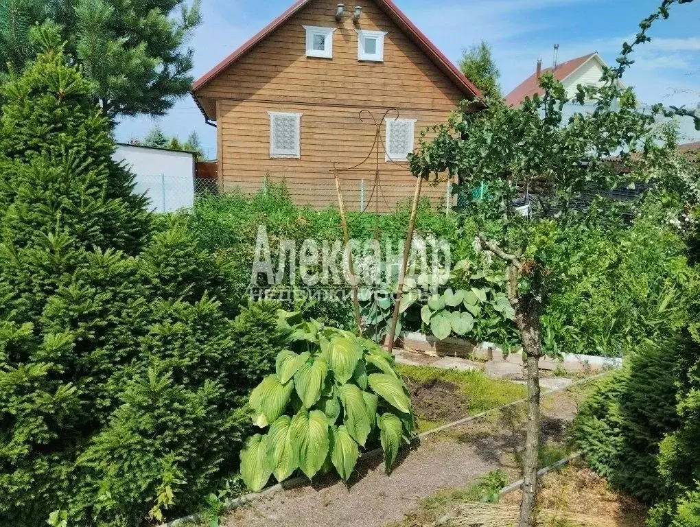 Дом в Ленинградская область, Кировское городское поселение, Маяк СНТ ... - Фото 0