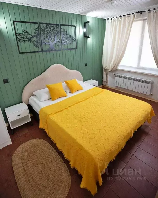 Дом в Воронежская область, с. Новая Усмань  (40 м) - Фото 1