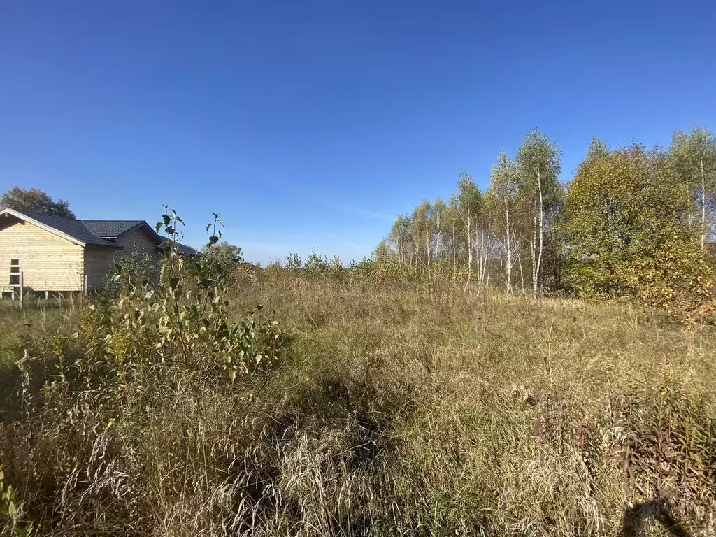 Участок в Московская область, Серпухов городской округ, с. Турово ул. ... - Фото 0