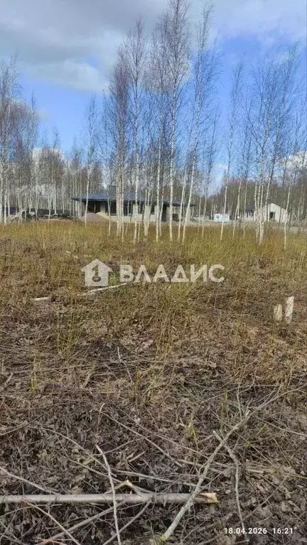 Участок в Санкт-Петербург, Санкт-Петербург, Павловск ул. Мичурина (8.7 ... - Фото 1