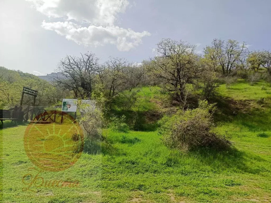 Участок в Крым, Алушта муниципальный округ, с. Лучистое, Победа СНТ  ... - Фото 2