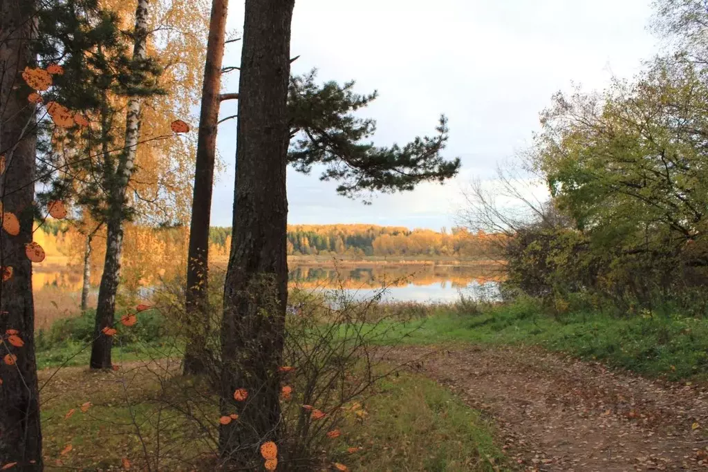 Участок в Московская область, Дмитровский городской округ, д. Капорки ... - Фото 0