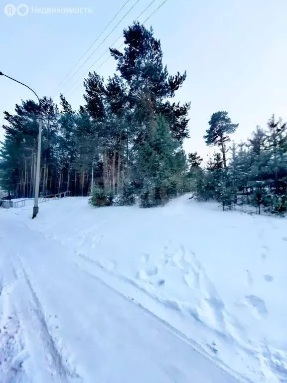 2-комнатная квартира: Братск, жилой район Энергетик, улица Наймушина, ... - Фото 2