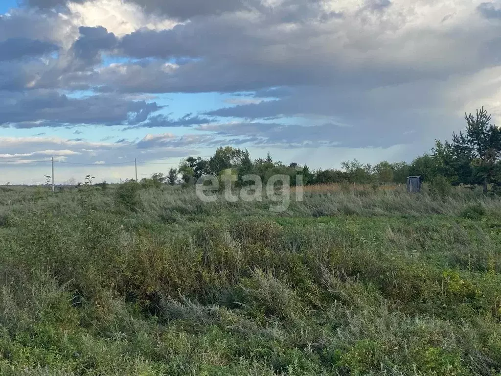 Участок в Амурская область, Благовещенский район, с. Волково  (11.59 ... - Фото 1