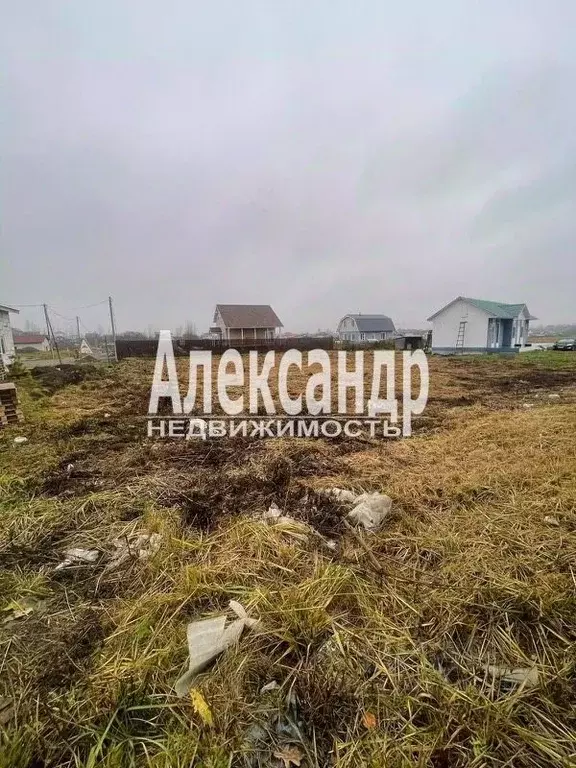 Участок в Ленинградская область, Гатчинский муниципальный округ, д. ... - Фото 2