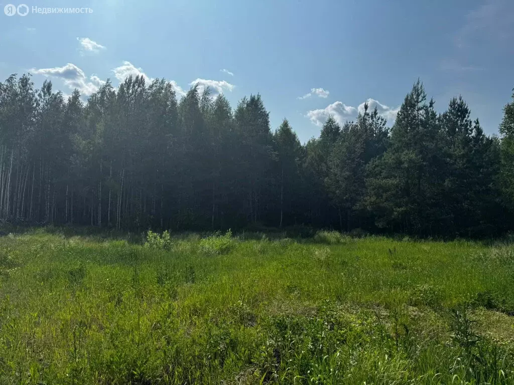 Участок в Екатеринбург, Перевальная улица (234 м) - Фото 1