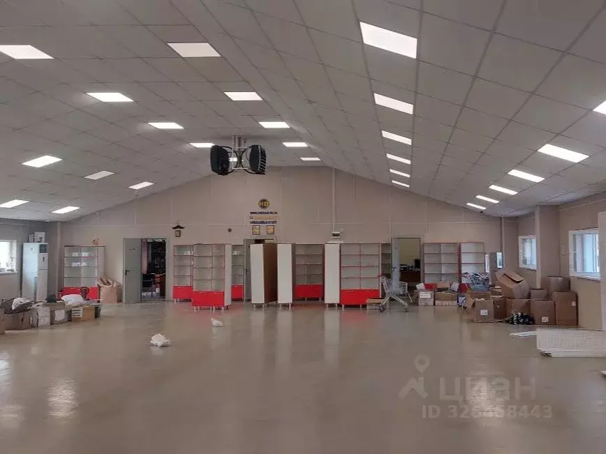 Помещение свободного назначения в Хабаровский край, Хабаровск ул. ... - Фото 1