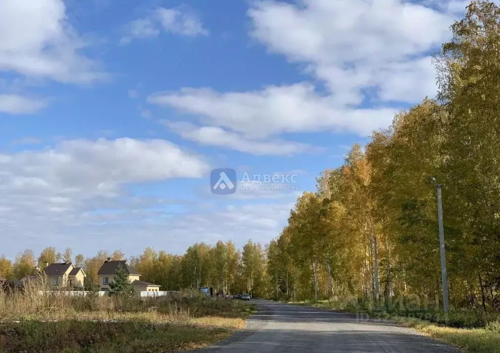 Участок в Тюменская область, Тюменский муниципальный округ, с. ... - Фото 2