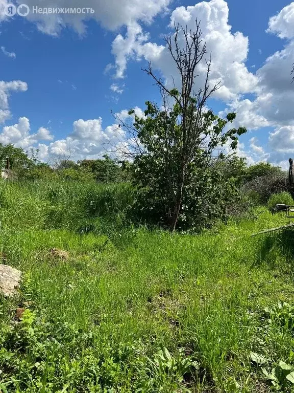 Дом в Белореченск, улица Калинина, 296 (100 м) - Фото 0
