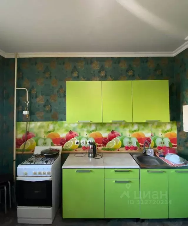 2-к кв. Псковская область, Псковский район, Писковичская волость, д. ... - Фото 2