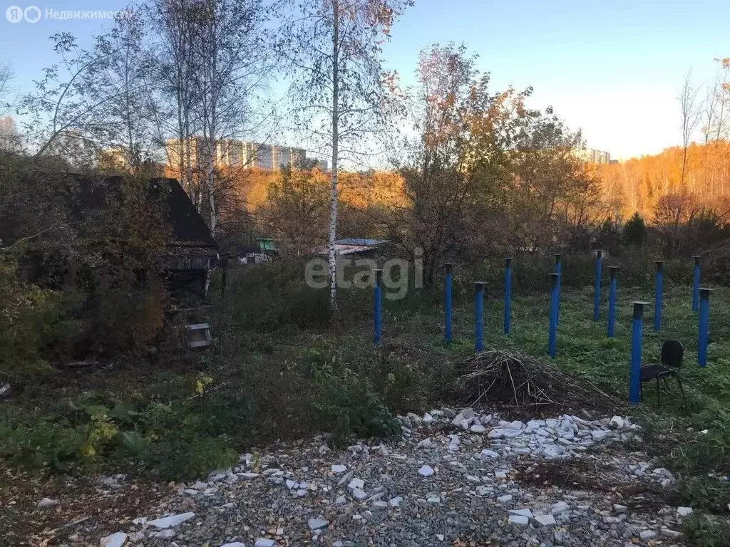 Участок в Новосибирск, садовое товарищество Рассвет-Октябрьский (6.4 ... - Фото 1