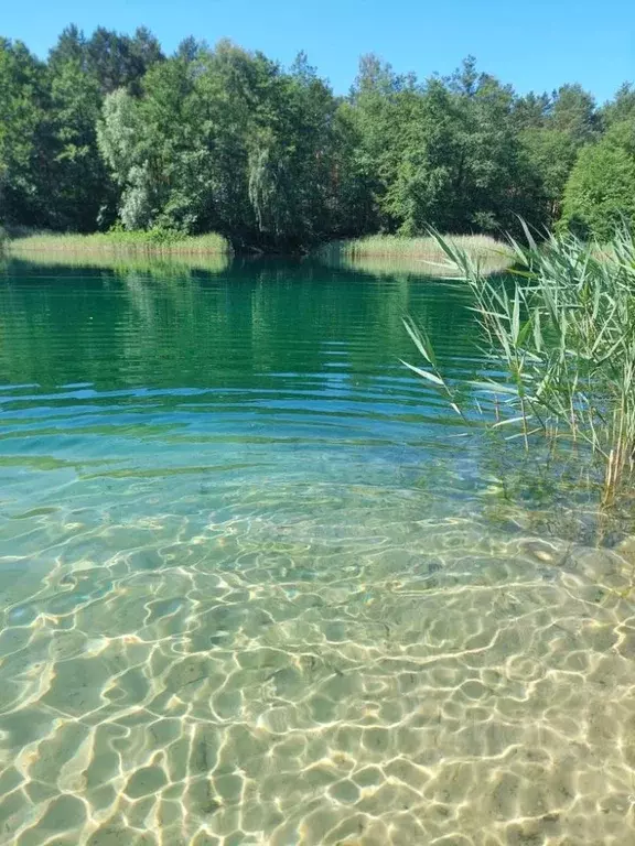 Участок в Ленинградская область, Волосовский район, Калитинское с/пос, ... - Фото 1