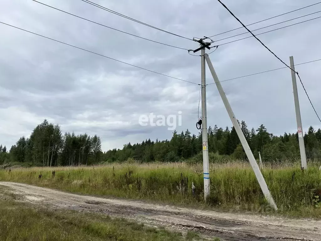 Участок в Ленинградская область, Всеволожский район, пос. Щеглово 1А ... - Фото 0