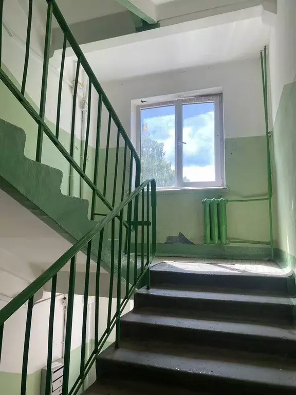 2-к кв. Московская область, Ногинск Богородский городской округ, ул. ... - Фото 2