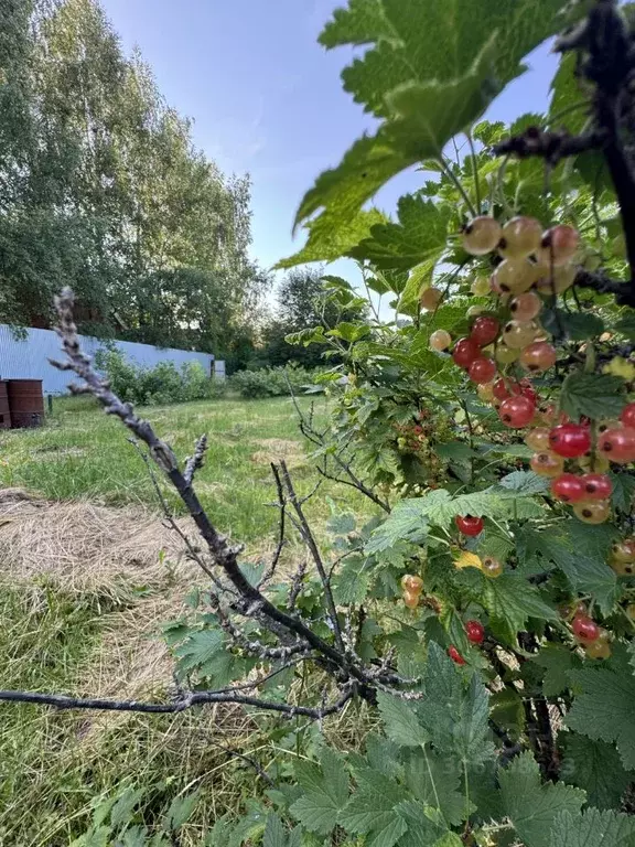 Участок в Московская область, Щелково городской округ, пос. Образцово ... - Фото 0