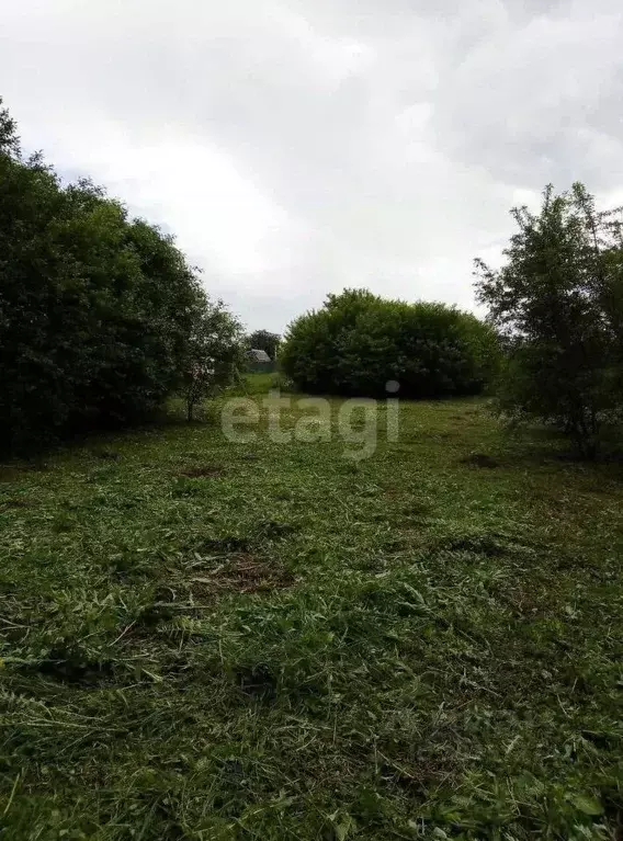 участок в белгородская область, строитель яковлевский городской округ, . - Фото 1