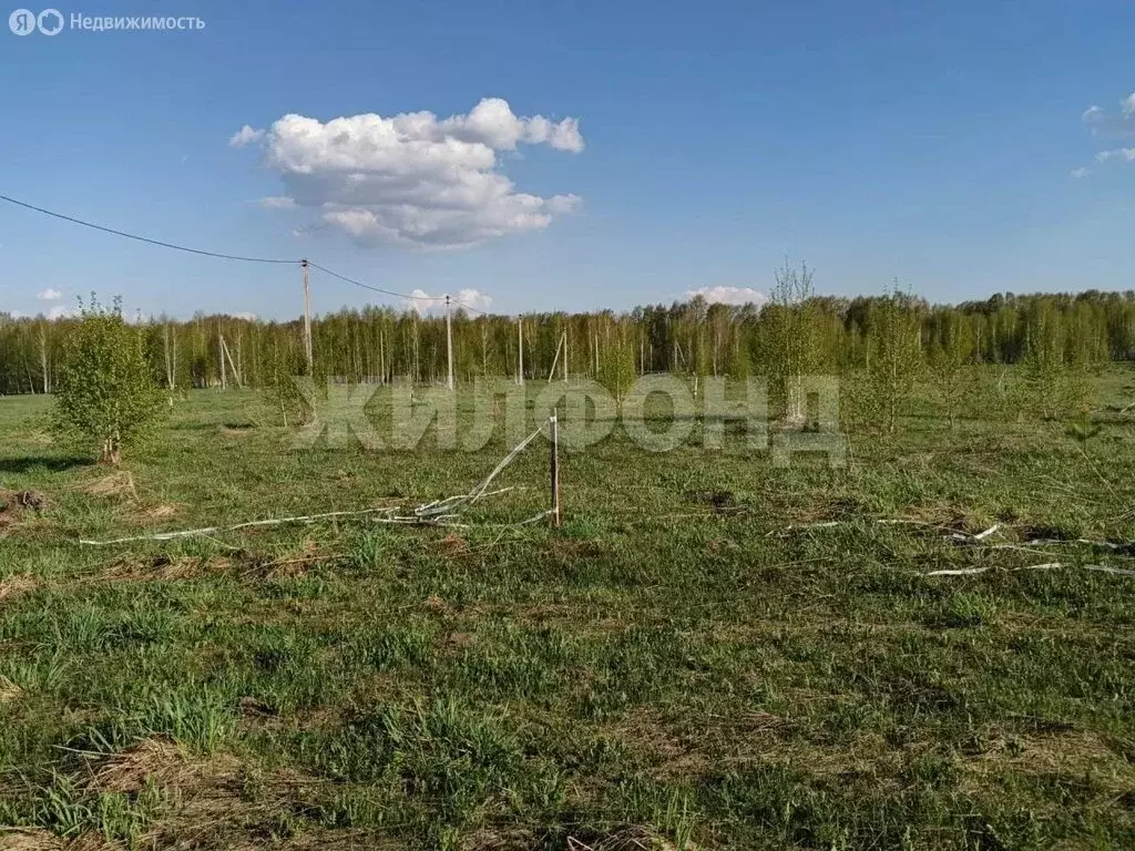 Участок в Каменский сельсовет, СНТ Бердский перекат, Сибирская улица ... - Фото 2
