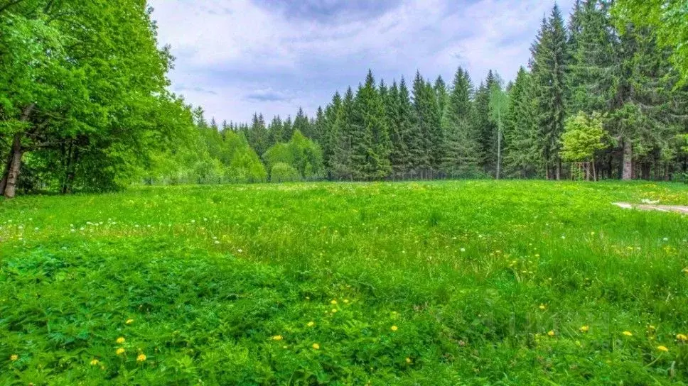 Участок в Москва д. Каменка, Графские Пруды кп,  (24.0 сот.) - Фото 0