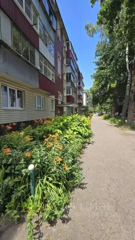 1-к кв. Курская область, Курск Школьная ул., 5к17 (30.5 м) - Фото 1