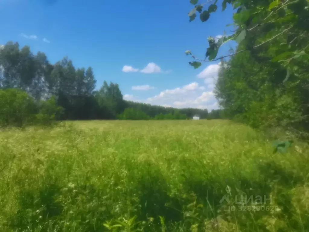 Участок в Тверская область, Конаковский муниципальный округ, д. Старое ... - Фото 2
