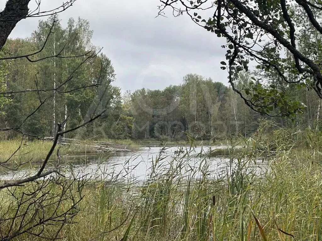 Участок в Ленинградская область, Приозерский район, Мельниковское ... - Фото 1