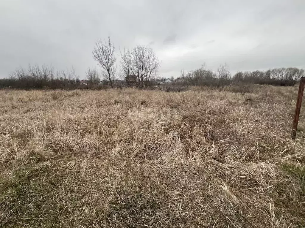Участок в Воронежская область, с. Новая Усмань ул. Садовая (15.0 сот.) - Фото 0