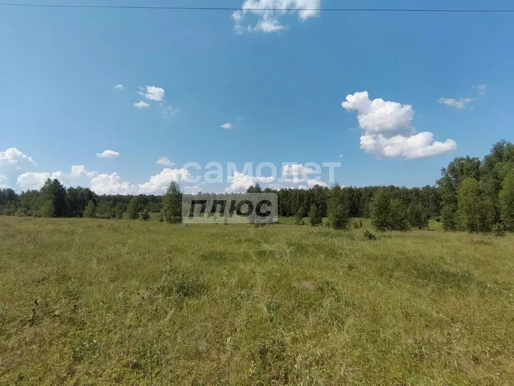 Участок в Челябинская область, Сосновский муниципальный округ, пос. ... - Фото 2