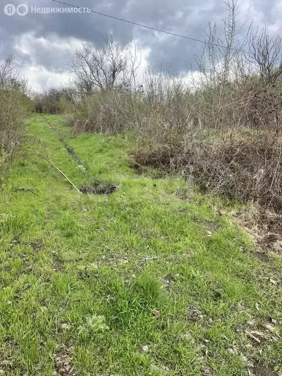 Участок в хутор Александровка, Солнечная улица (8 м) - Фото 1