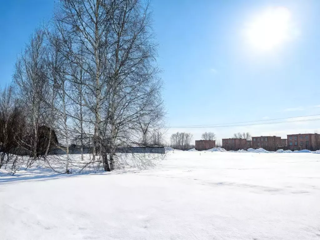Участок в Новосибирская область, с. Новолуговое ул. Сиреневая (9.5 ... - Фото 1