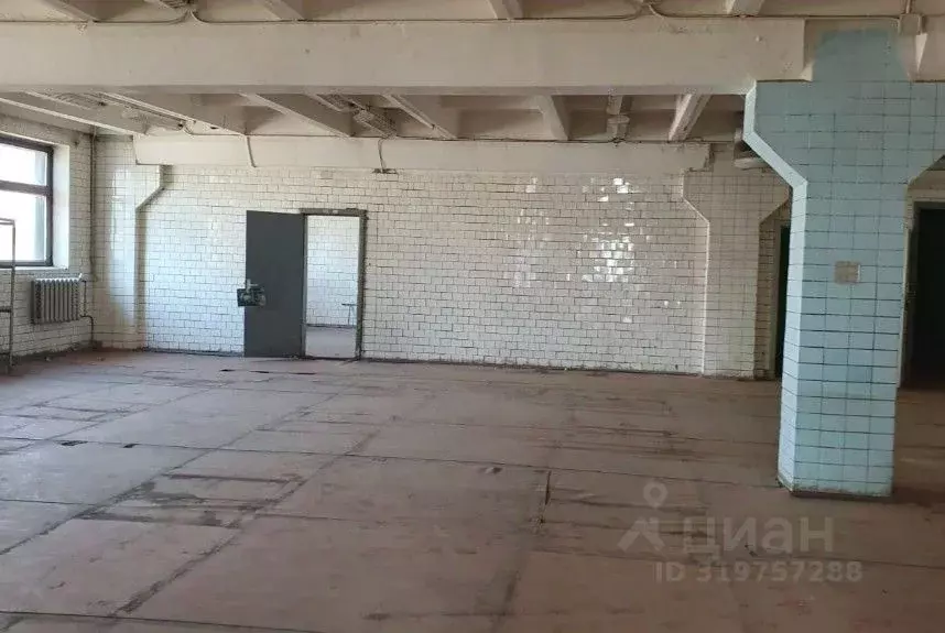 Помещение свободного назначения в Санкт-Петербург просп. Энгельса, 27Х ... - Фото 1
