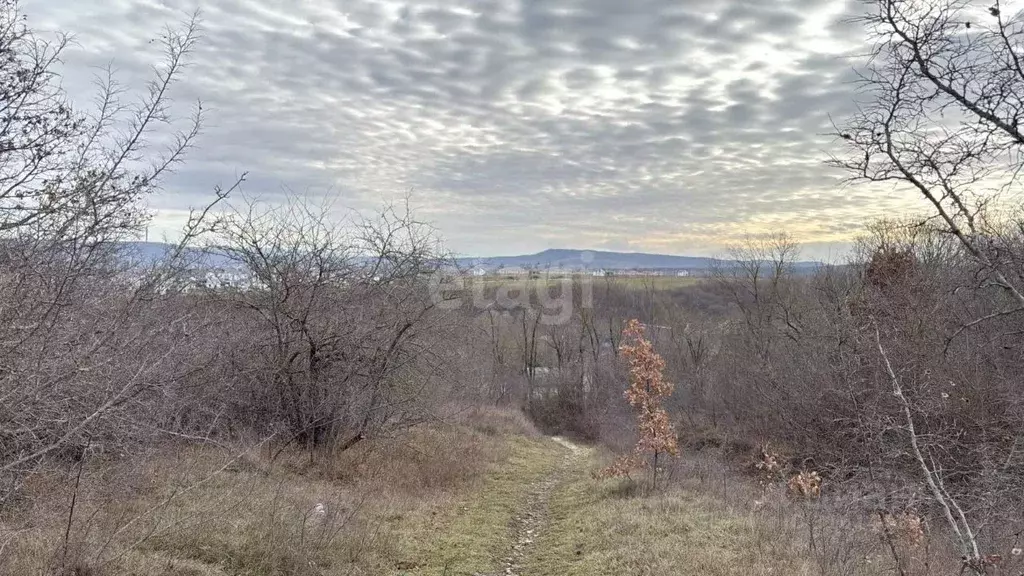 Участок в Краснодарский край, Новороссийск городской округ, Раевская ... - Фото 0